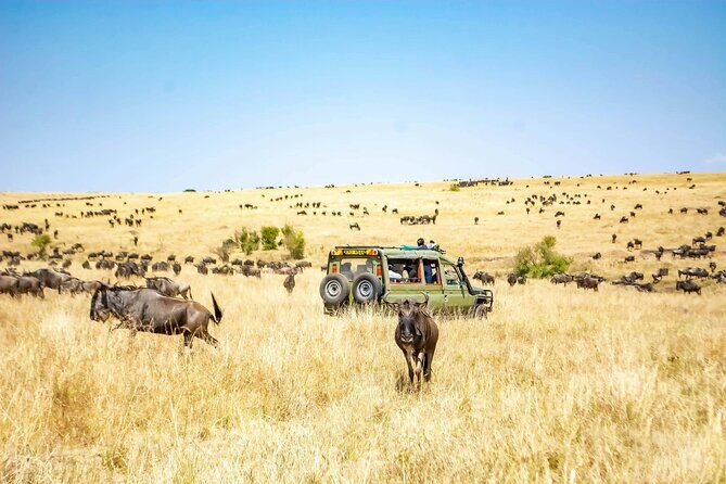 4 Days Lake Nakuru and Masai Mara Luxury Safari - Lake Nakuru Lodge Time: Real Rest After Real Game Drives