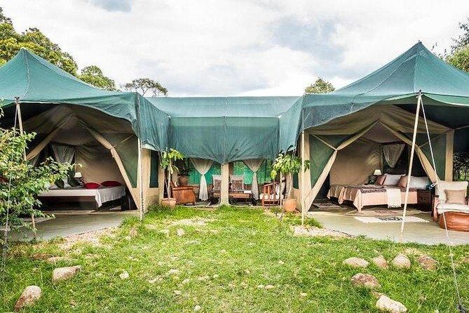 4 days Maasai Mara-Nakuru Mid-Range - Sunrise finale and Narok lunch: wrap-up with a last look at the Mara