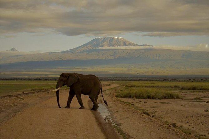 4 days Maasai Mara-Nakuru Mid-Range - Price and what you really get at $1,681.89 per person