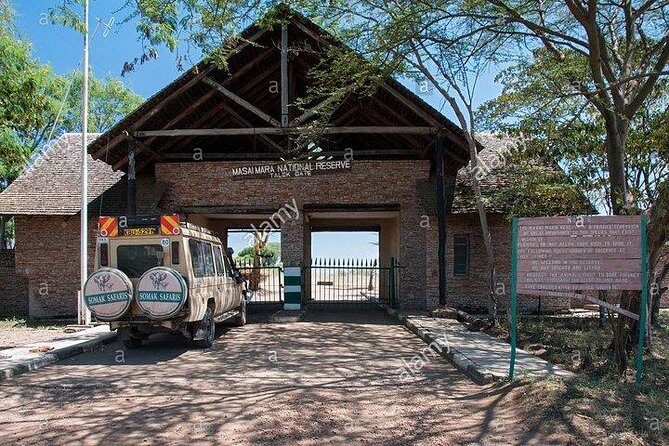 4 days Maasai Mara-Nakuru Mid-Range - The small choices that affect your Mara and Nakuru success