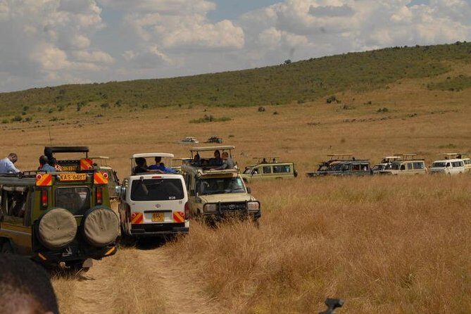 4 Days Masai Mara and Lake Nakuru Budget Safari Meals included - Maasai Mara Game Drives: Big Cats and Plain-Game Energy