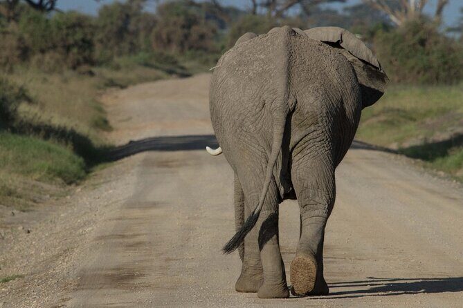 4 Days Masai Mara Nakuru - Camps and Night Comfort: Far From Basic, But Still Safari Real