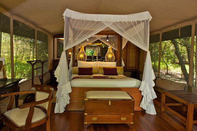4 days masai mara Nakuru Joining safari - Day 4: Flamingos at Lake Nakuru, then back to Nairobi before dusk