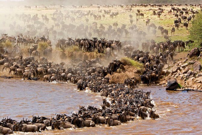 4 days masai mara Nakuru Joining safari - What makes this trip feel well-run (even when you’re in a group)