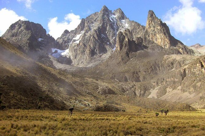 4 Days Mount Kenya Trekking - Key points worth knowing before you go