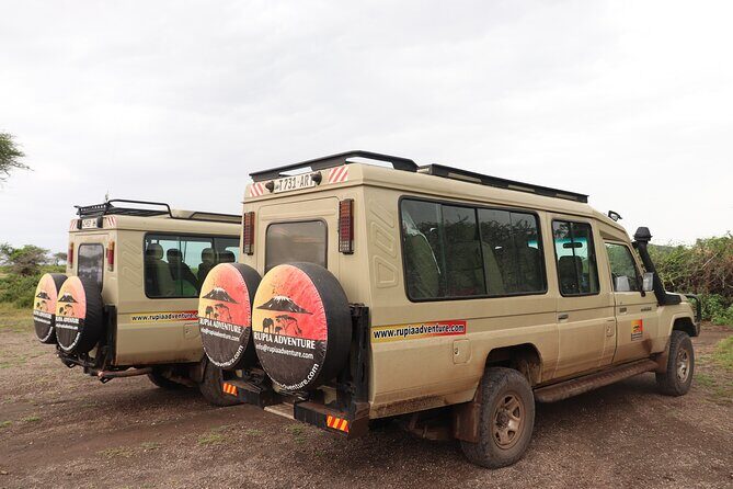 4 Days Mount Kenya Trekking - Day 4: rainforest walking and back to Nairobi