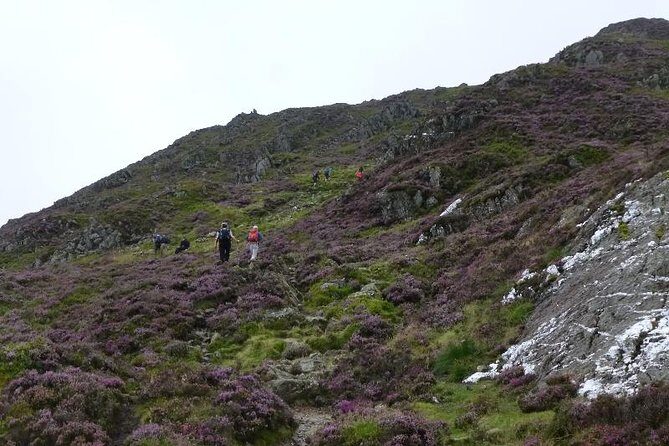 4 Days Mount Kenya - Key things to know before you go