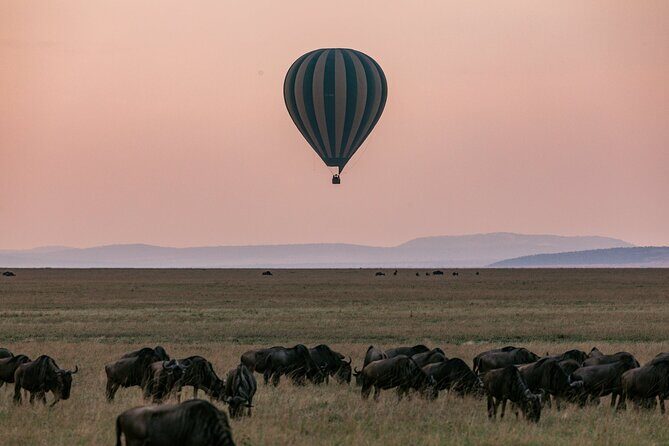 4 Days of Untamed Beauty: An Unforgettable Masai Mara Road Safari - Private pickup and mobile ticket: how you’ll start