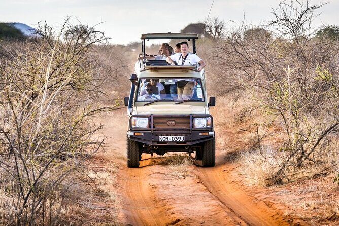 4 Days Private Safari Tour Tsavo and Amboseli from Nairobi - Key things to know before you go