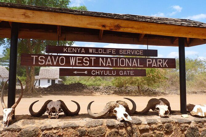 4 Days Private Safari Tour Tsavo and Amboseli from Nairobi - Day 1 in Tsavo East: Aruba Dam and the first long game drive