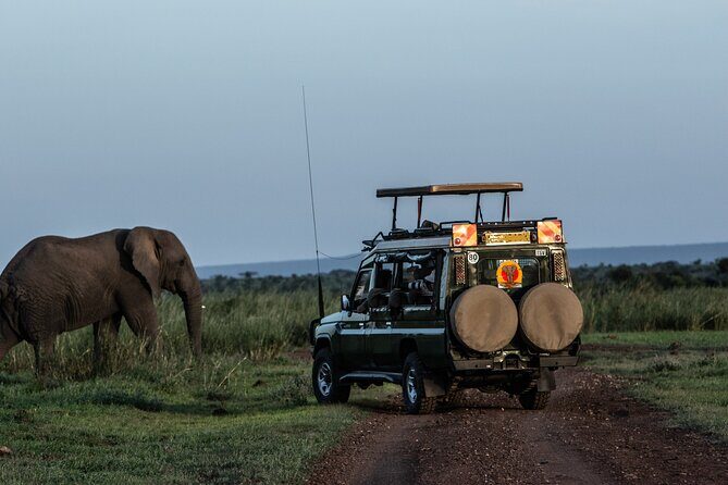 4 Days Safari from Mombasa to Amboseli and Tsavo West and East - Key things that make this safari work