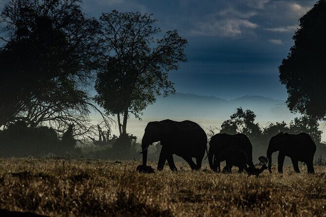 4 Days Safari from Mombasa to Amboseli and Tsavo West and East - Why this route hits Tsavo West, Amboseli, and Tsavo East in one trip