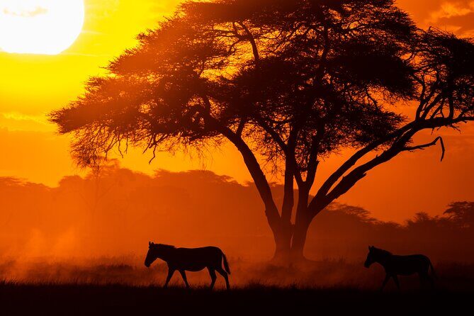 4 Days Safari from Mombasa to Amboseli and Tsavo West and East - Price and value: what $1,600 per person covers and what it doesn’t