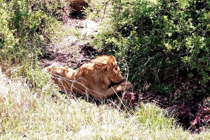 4-days safari: Tsavo east, west and Amboseli national parks - Practical advice before you go