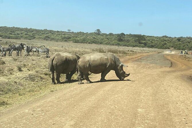 4 Days Tour Landcruiser in Masai Mara and Lake Nakuru - Park Fees Not Included: Budgeting Without Surprises