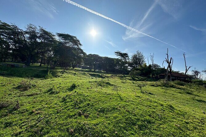 4day Maasai Mara, Lake Nakuru, and Lake Naivasha - Lake Nakuru National Park: a quieter day with bird-and-lake energy