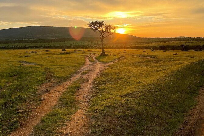 4day Maasai Mara, Lake Nakuru, and Lake Naivasha - How the best version of this trip runs day to day