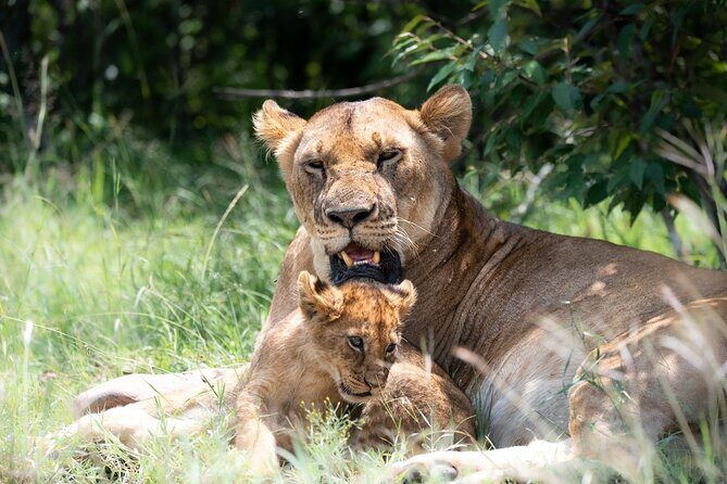 4x4 Safari in Tsavo East National Park - Key highlights worth getting excited about
