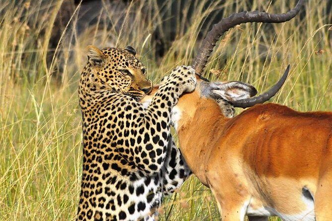 5-Day Lakes and Masai Mara Plains 4 x 4 Safari - Comfort, timing, and smart prep for a private safari schedule