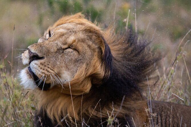 5-Day Lakes and Masai Mara Plains 4 x 4 Safari - Lake Nakuru: flamingos, rhinos, and a cliff-side lunch break