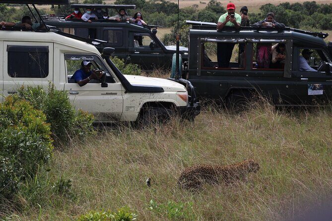 5-Day Private Tour in Kenya's Best Game Parks - Day 3 to Day 4 in Maasai Mara: Big Five game drives and the best big-cat chances
