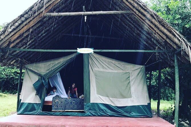 5-Day Safari in Maasai Mara, Lake Nakuru and Naivasha - Price and value: what $922 covers in real life