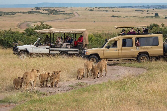 5 Days/4 Nights Kenya Safari - Camps, Meals, and What’s Actually Included (and What Isn’t)