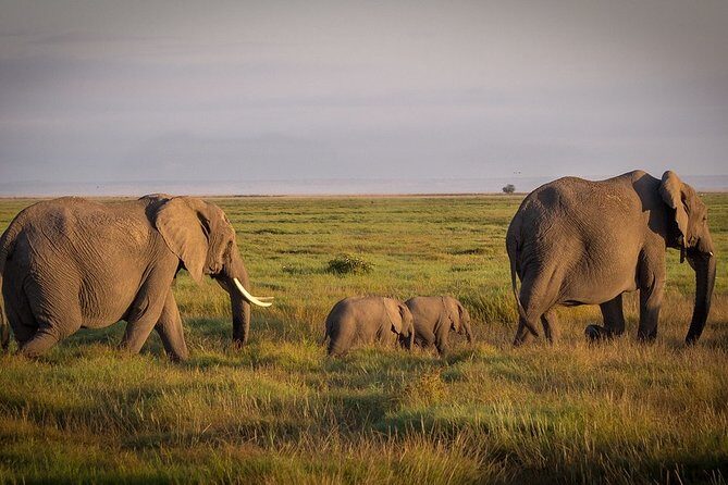 5 Days/4 Nights Kenya Safari - Who This Safari Fits Best (and Who Might Want a Different Plan)