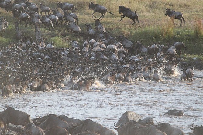 5 Days/4 Nights Kenya Safari - Day 3: Lake Nakuru, Bird Life, and Two Optional Hikes