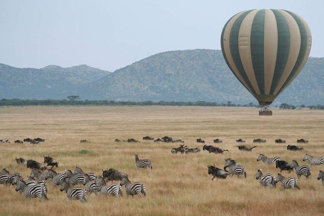5 Days Best Of Kenya Safari - A 4-Park Safari Route That Actually Uses Your Time