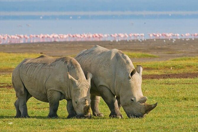 5 Days Budget Safari To Masai Mara, Lake Nakuru and Lake Naivasha - Day 1 to Masai Mara: Rift Valley Views and Your First Drive