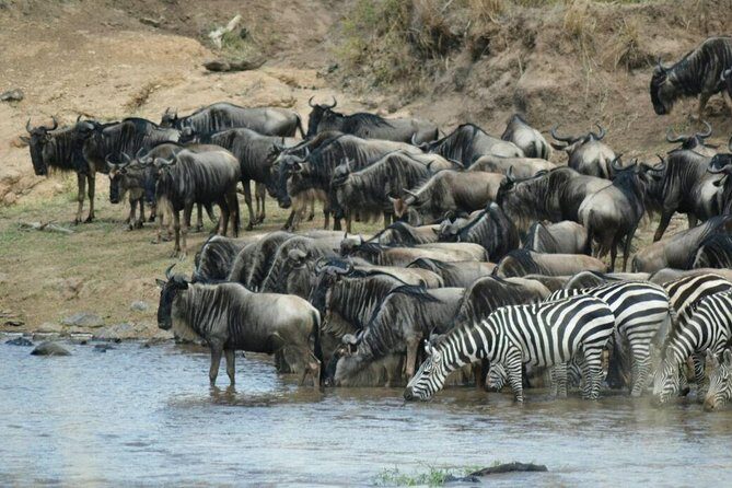 5 Days Highlights of Kenya - Two parks, one efficient Kenya route from Nairobi