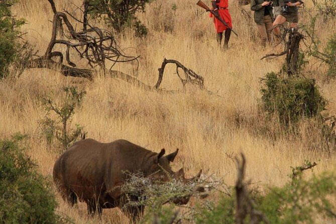 5 Days Kenya Masai Mara and Lake Nakuru Private Tour - Who this tour suits best (and who may want a different style)