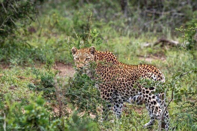 5 Days Lake Nakuru-Lake Naivasha & Maasai Mara Safari - Day 2: Hell’s Gate National Park—bike, hike, and an easy nature reset