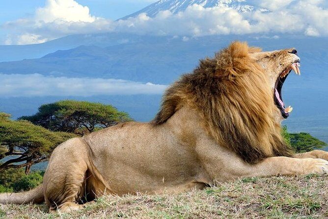 5 Days Maasai mara, Lake Nakuru, samburu private lodge safari - Entering Maasai Mara: the Nairobi start that sets the tone