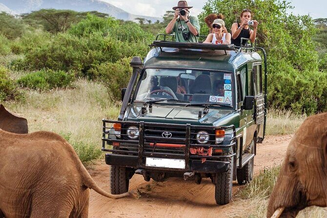 5 Days Mombasa,Tsavo East, Taita Salt Lick, Tsavo West, Amboseli, - Key points to know before you go