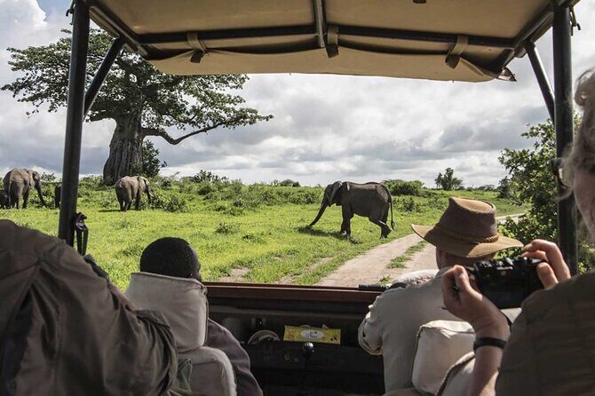 5 Days Mombasa,Tsavo East, Taita Salt Lick, Tsavo West, Amboseli, - A smart 5-day circuit from Mombasa to Nairobi