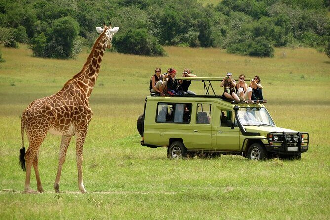 5 Days Mombasa,Tsavo East, Taita Salt Lick, Tsavo West, Amboseli, - Day 4 Amboseli National Park and Mzima Springs: Kilimanjaro views with hippos in clear water