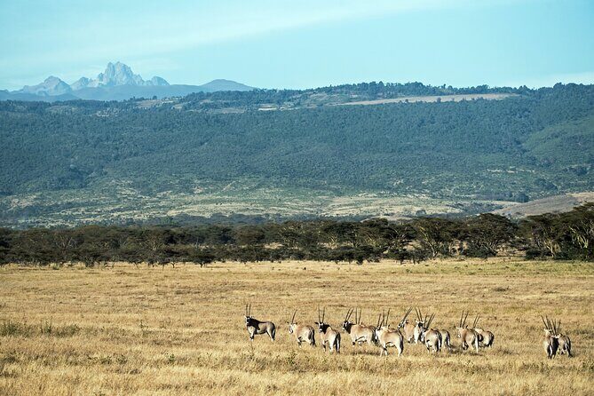 5 Days Mount Kenya Climbing Via Chogoria Sirimone Route - Price and logistics: does $1,600 feel fair for 5 days?