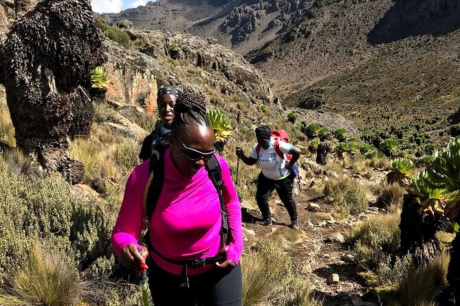 5 Days Mt. Kenya Sirimon route out Chogoria Route with Peak Circuit - Day 5: Chogoria Bandas to Nairobi with a bamboo forest finish