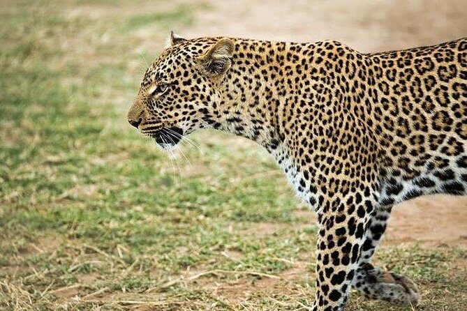 5 Days safari to Maasai Mara ,Lake Nakuru and Hell's gate national park - Price and Logistics: what you’re really paying for
