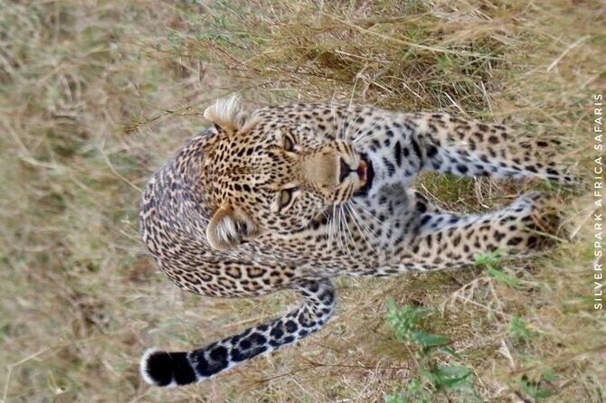 6-Day Maasai Mara Reserve, Lake Naivasha, Amboseli National Park - Nairobi to Maasai Mara: Rift Valley country and Big Five odds