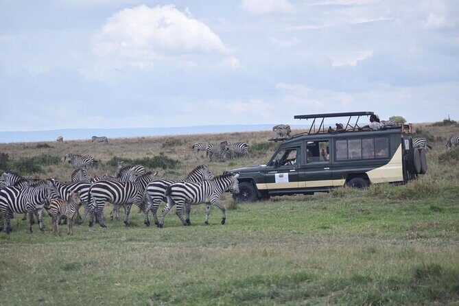 6 Day Nairobi-Amboseli-Maasai Mara Private Semi Luxury Tour - The Toyota Land Cruiser Advantage and Why Off-Road Time Helps