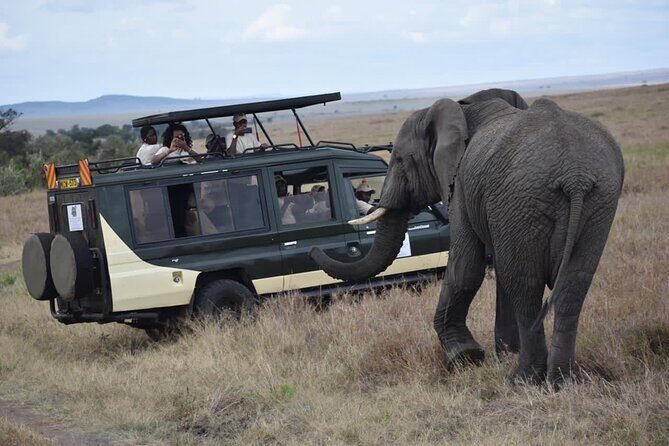 6 Day Nairobi-Amboseli-Maasai Mara Private Semi Luxury Tour - Day 4 Arrival in Maasai Mara at First Light: Mau Forest Views on the Way In