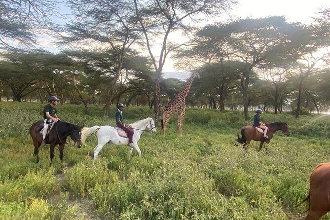 6 Day Nairobi-Amboseli-Maasai Mara Private Semi Luxury Tour - Day 1 in Amboseli: Kilimanjaro Views and an Afternoon Game Drive