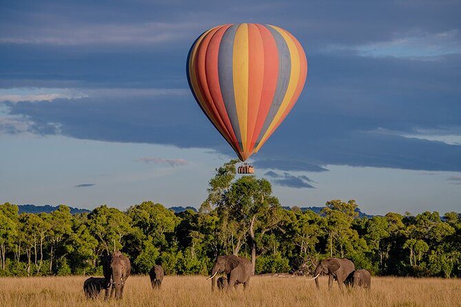 6-Day Samburu, Lake Nakuru, and Masai Mara Safari - Safari vehicle details: what “open roof” really means for your views