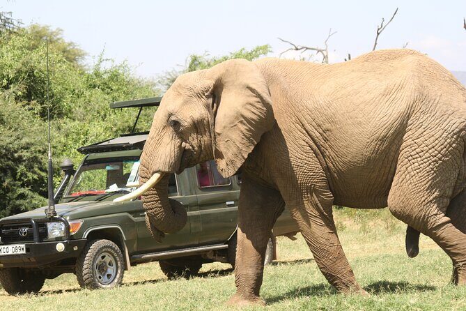 6-Day Samburu, Lake Nakuru, and Masai Mara Safari - Samburu Day 2: morning and sunset drives in the same reserve