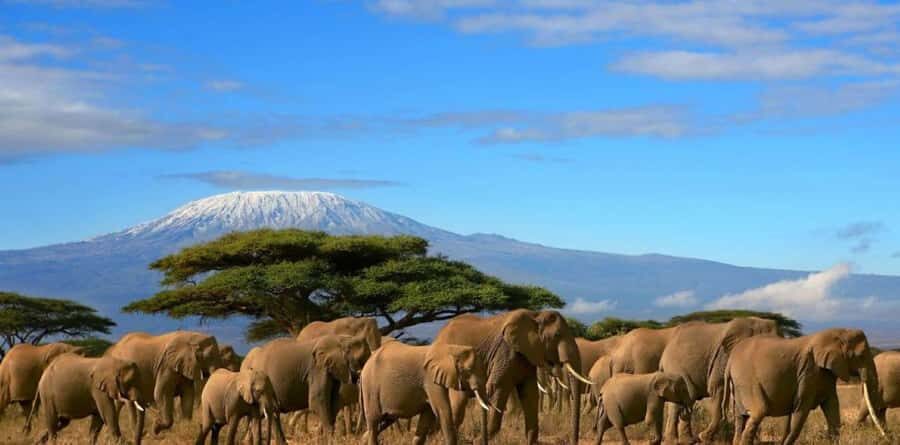 6 Days, Group Safari to Masai Mara, Lake Nakuru and Amboseli - Day 1: Nairobi to Maasai Mara With a Rift Valley Stop and a Sunset Drive