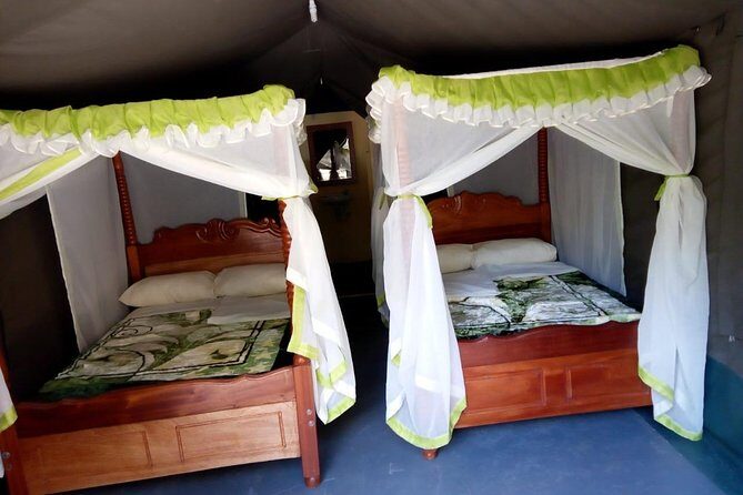 6 Days in Masai Mara- Lake Nakuru- Amboseli - Day 6: early viewing in the area, then Nairobi and the Mombasa connection