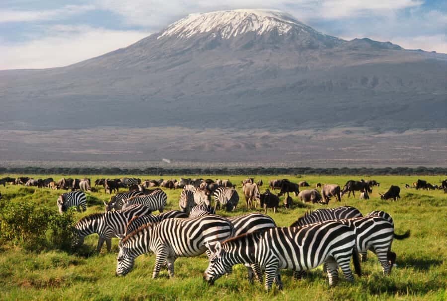 6 Days Kenya Budget Safari - Big Five Odds: When Luck Matters (and When It Doesn’t)